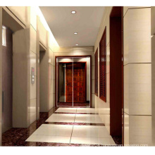 Commercial Building Lift Home Hydraulic Lift Elevator